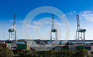 Industrial port in Miami, shipyard, cargo cranes and containers