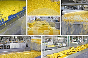 Industrial production of corn in food processing plant in collage photo