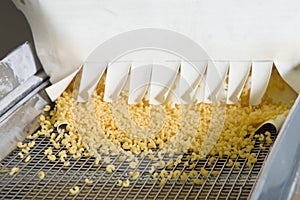 Industrial production of pastaon automated food factory