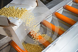 Industrial production of pastaon automated food factory