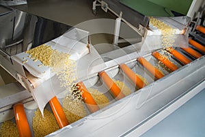 Industrial production of pastaon automated food factory