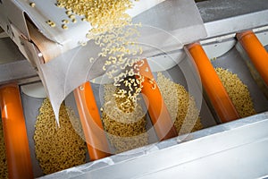Industrial production of pastaon automated food factory