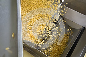 Industrial production of pastaon automated food factory