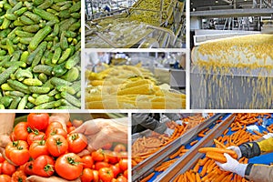 Industrial production of vegetables in food processing plant, collage photo