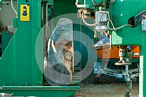 Industrial sawmill with large piece of wood photo