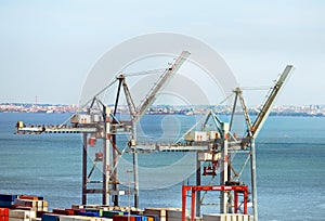 Industrial sea port with cranes.