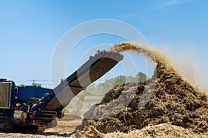 Industrial shredder machine an work conveyor the roots shredding from producing wood chips