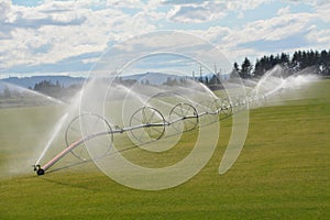 Industrial sprinkler system in Oregon`s Willamette Valley