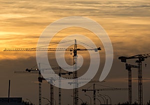 Industrial sunset with cranes on construction site