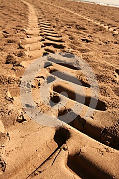 Industrial tractor footprint on beach sand
