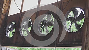 Industrial ventilators close-up. Air circulation system in a factory close-up. Rotation of large fans in a factory