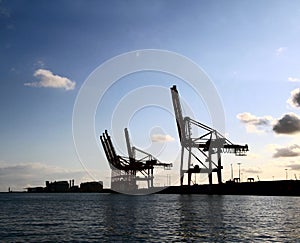 Industrial view with cargo cranes silhouettes