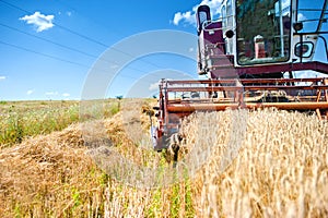 Industrial vintage harvesting machinery in wheat crops