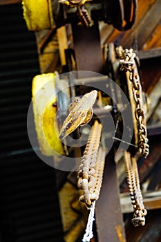 Industrial warehouse yellow hook and chains