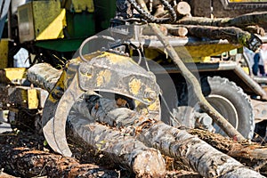 Industrial wood chipper in action