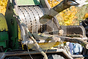 Industrial wood chipper in action