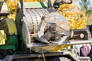 Industrial wood chipper in action