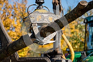 Industrial wood chipper in action