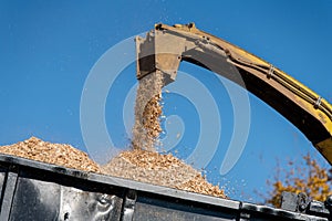 Industrial wood chipper in action