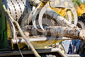 Industrial wood chipper in action