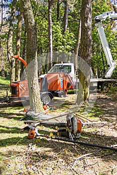 Industrial woodland management tools in woodland setting