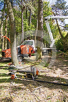 Industrial woodland management tools in woodland setting