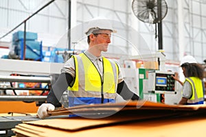Industrial worker indoors in factory.