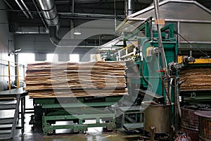 Industrial Workshop for the production of plywood