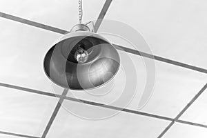 Industry hanging light bulb