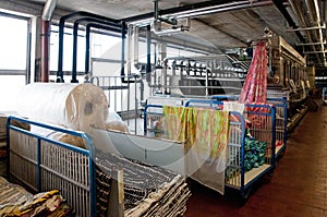 Industry: plant for textile printing photo