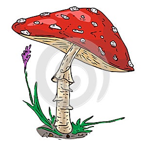 Vector illustration of a mushroom. Inedible mushroom in the forest. Amanita