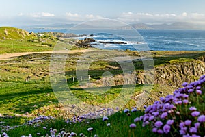 Ineuran Bay coast and cliffs, Malin Head, Ireland\'s northernmost point, famous Wild Atlantic Way, spectacular coastal route.