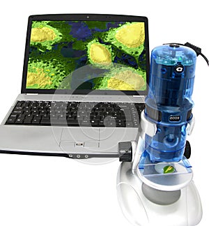 Inexpensive electron microscope