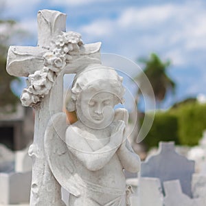 Infant angel with a diffused cemetery background