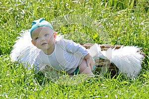 Infant baby in the basket