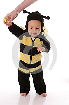 Infant baby bee