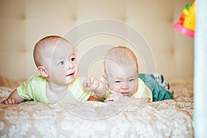 Infant Baby Child Twins Brothers Six Months Old at Home on the Bed