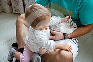 infant baby girl playing with decorative rabbit in father s hands