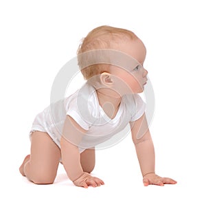 Infant child baby toddler kid sitting crawling isolated