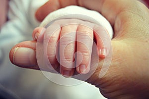 Infant Hand photo