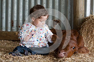 Infant Patting a Calf