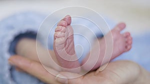 Infant Small Feet Close Up. Massage. Baby on mother lap.