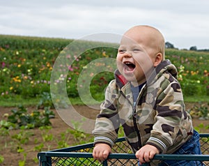 Infant in Wagon