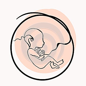 Infant in the womb, single line drawing, vector continuous line