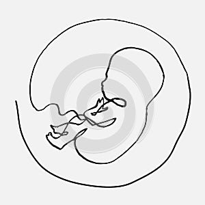 Infant in the womb, single line drawing, vector continuous line