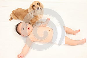 Infants and dog