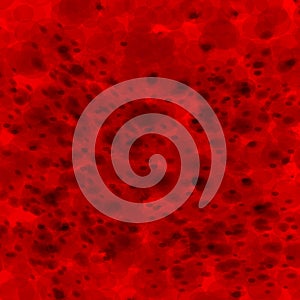 Infected red blood cells