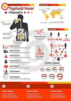 Infectious Disease Infographics - Typhoid Fever