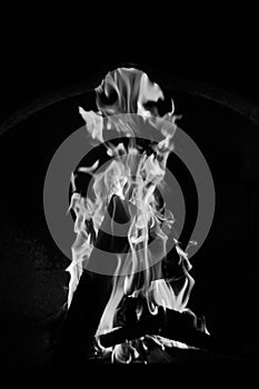 Inferno flame fire on black background close up.black and white image