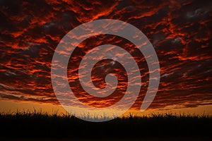 Inferno Sunset Cloudscape Over Sugarcane Field AI-GENERATED